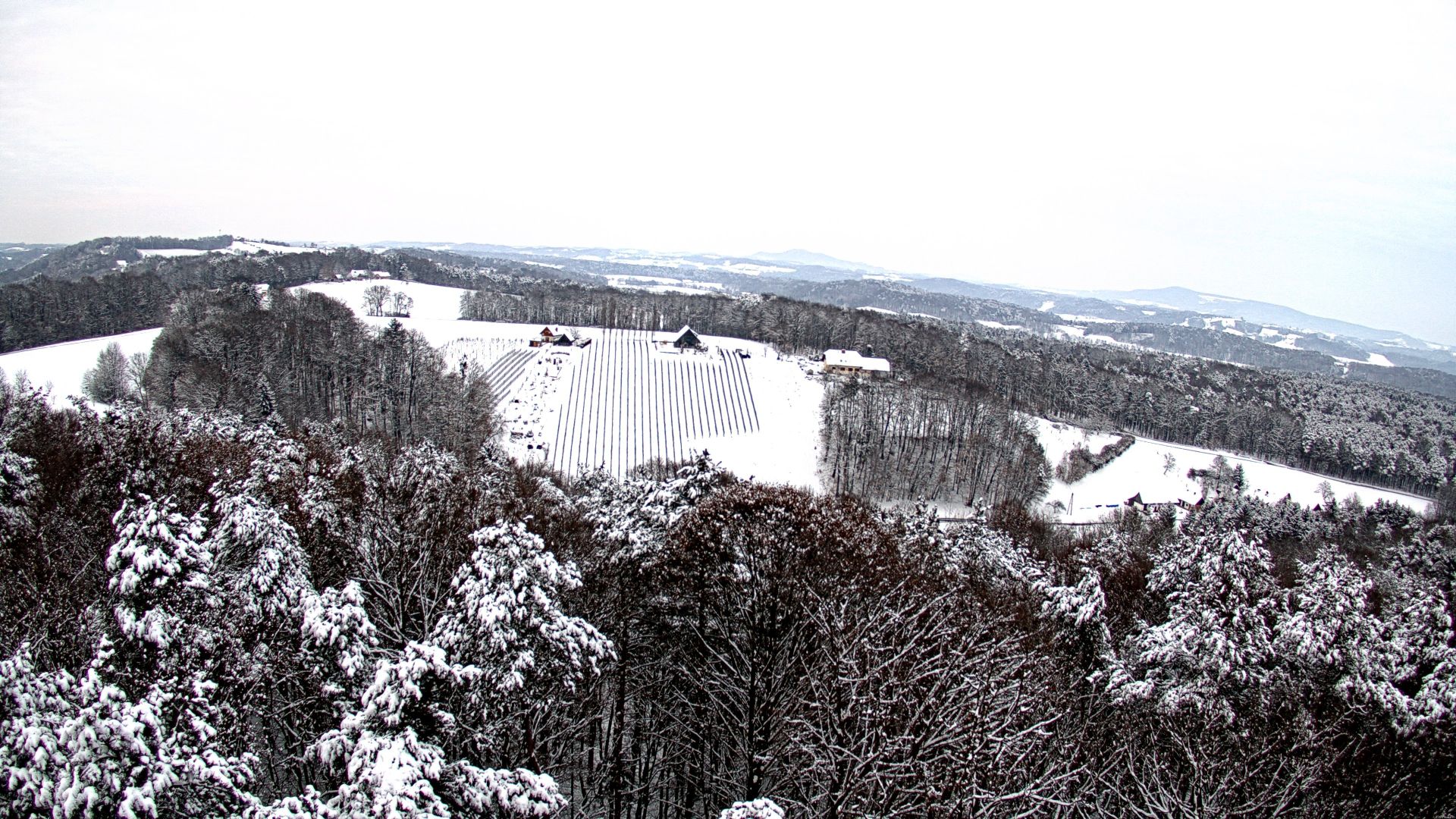 Gleichenberg Dorf: Aussichtsturm, Weinwarte St. Peter mit Blickrichtung NO