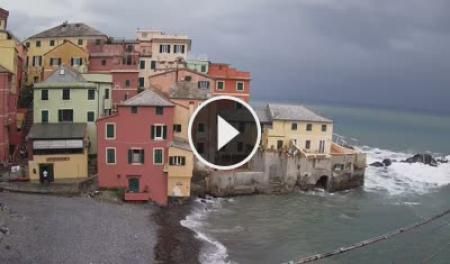 Genoa