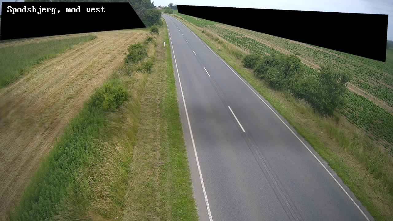 Webcam Spodsbjerg: Rute 9 Spodsbjerg