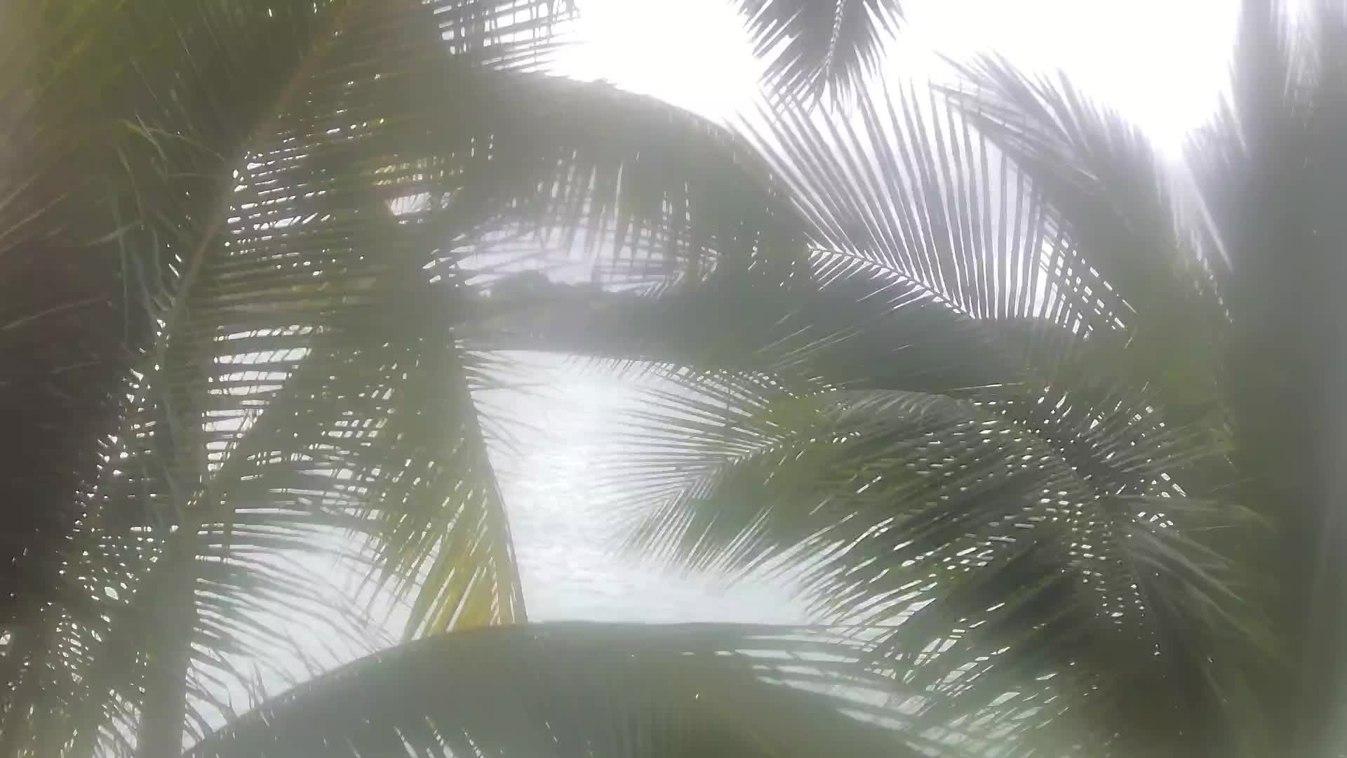 Webcam Pointe aux Canonniers: Sea View