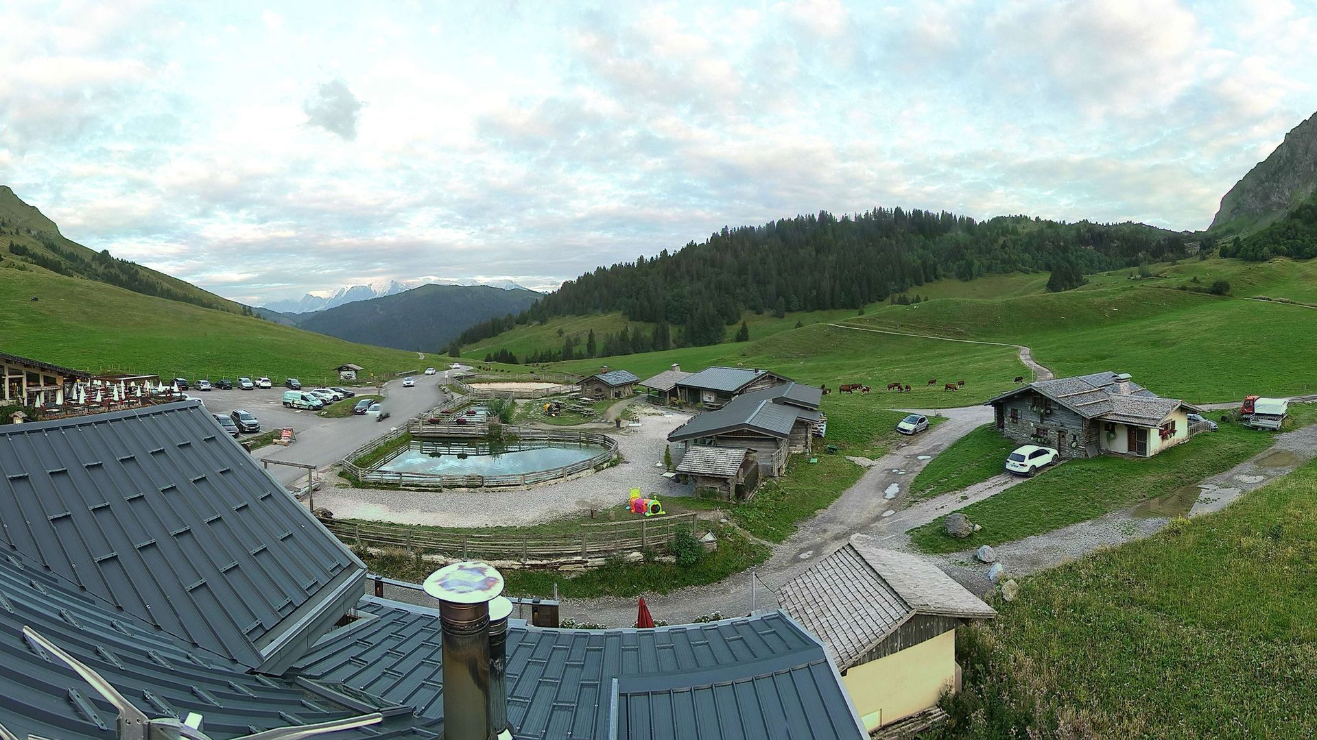 La Giettaz: LES RHODOS (Col des Aravis)