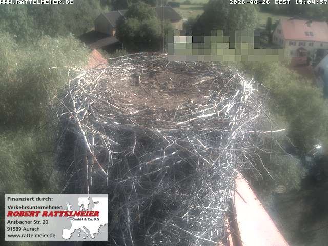 Webcam Aurach: Stork's Nest