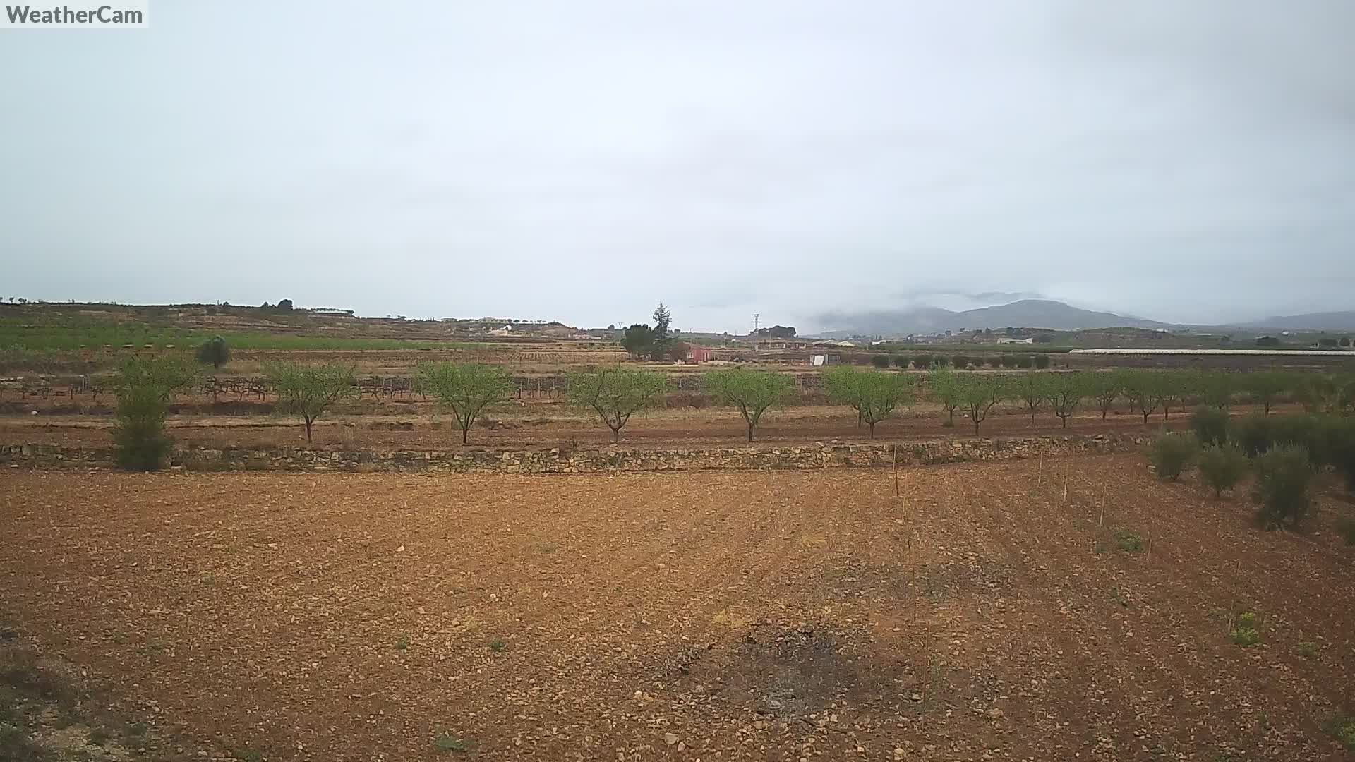 el Pinos: WeatherCam01