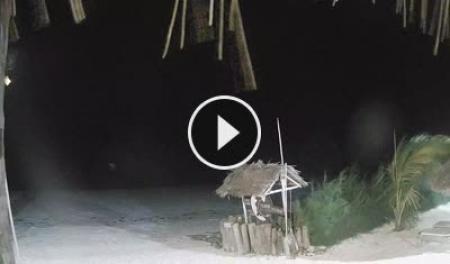 Webcam Bwejuu (Zanzibar): Tsunami Village Zanzibar