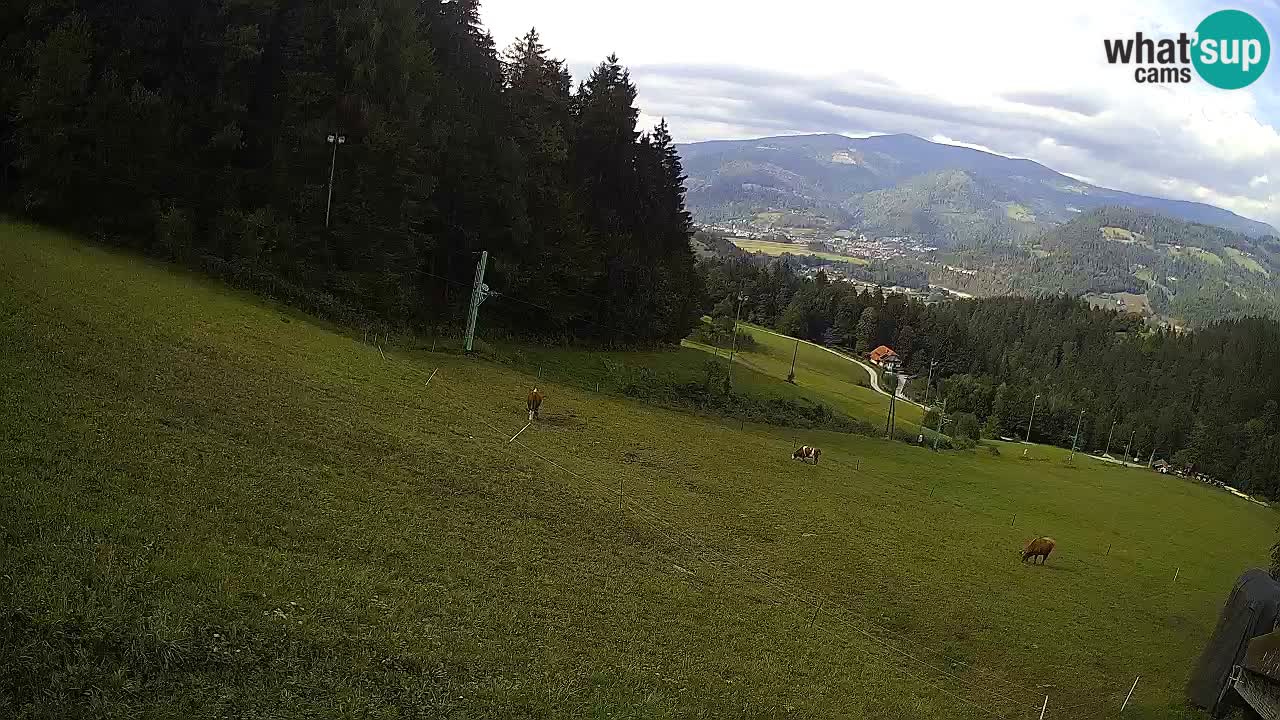 Webcam Šentjanž pri Dravogradu: Ski Center Bukovnik