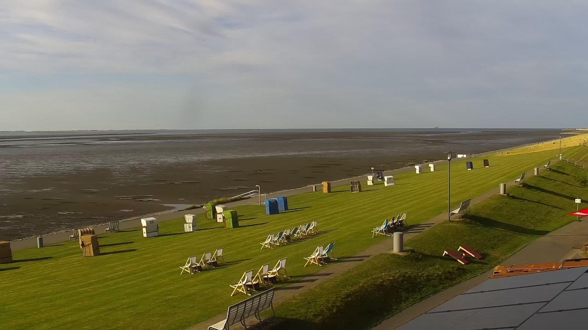 Busumer Deichhausen: Livespotting - Live am Wattenmeer der Nordsee an der Meldorfer Bucht