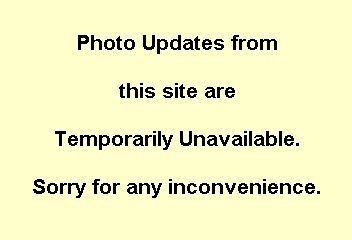 Springdale