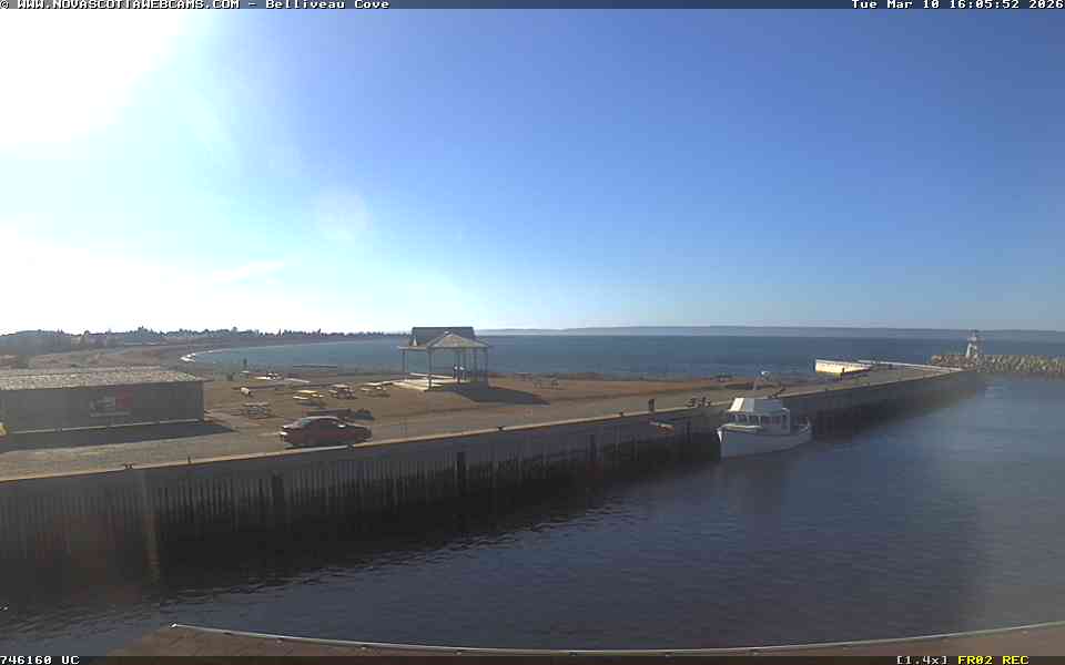 Webcam Belliveaus Cove: Belliveaus Cove Harbour