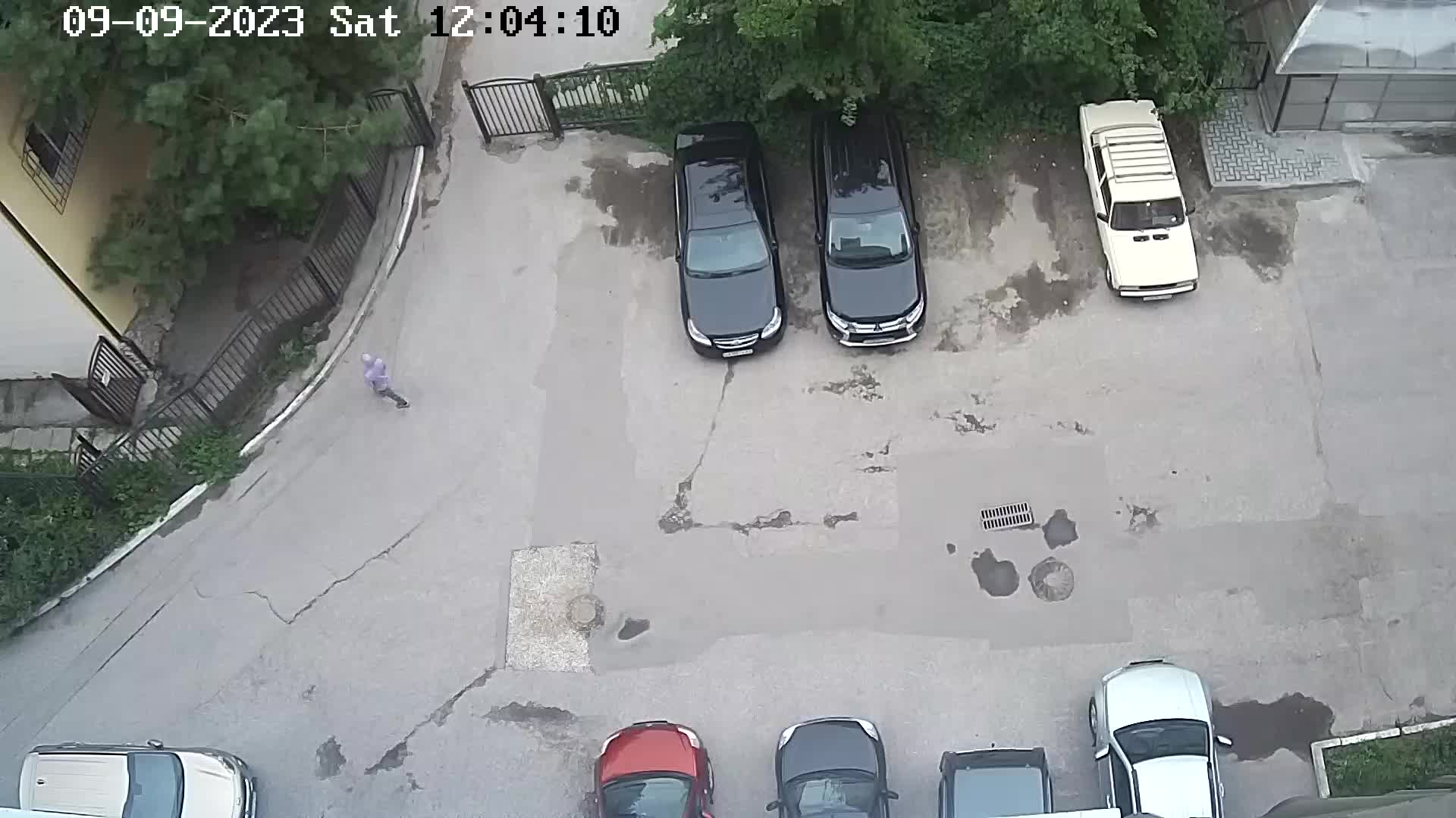 Webcam Ryazan: Ryazan Kremlin