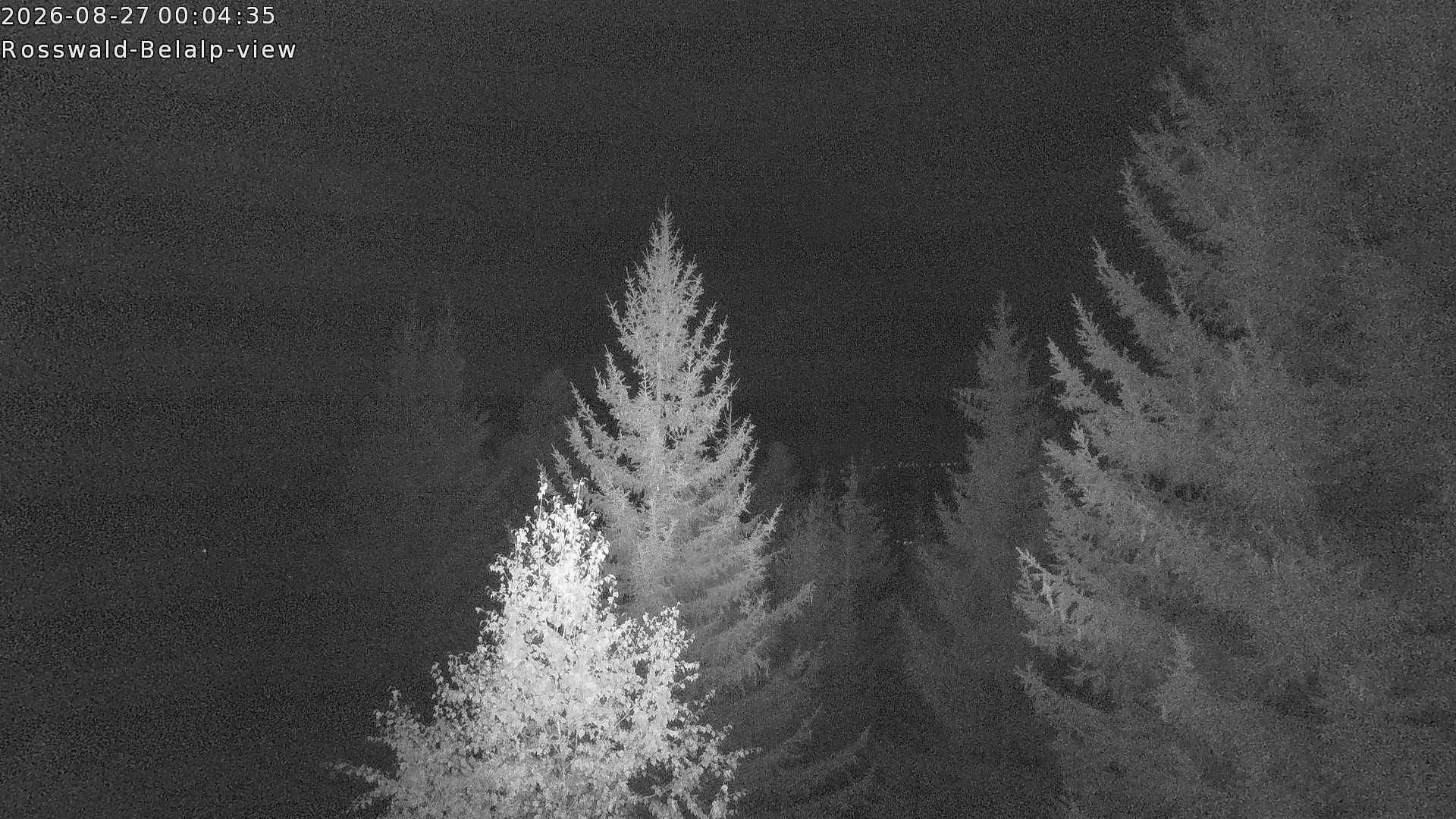 Rosswald