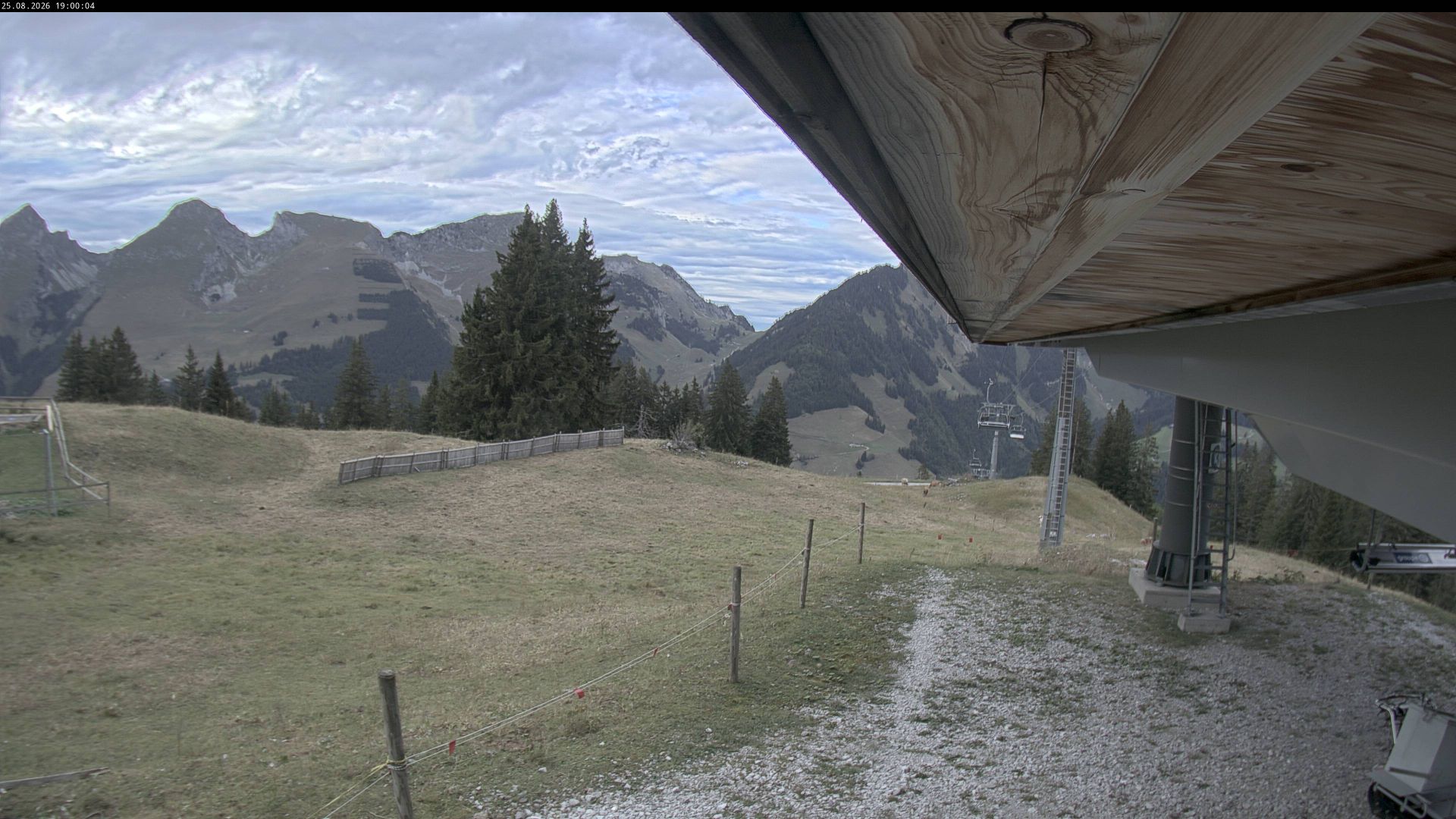 Jaun