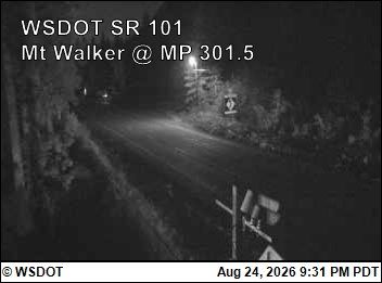 Bees Mill › South: US 101 at MP 301.5: Mt Walker