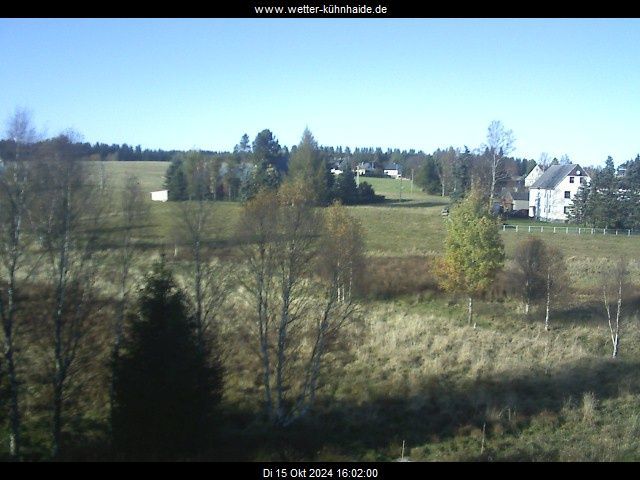 Kuhnhaide