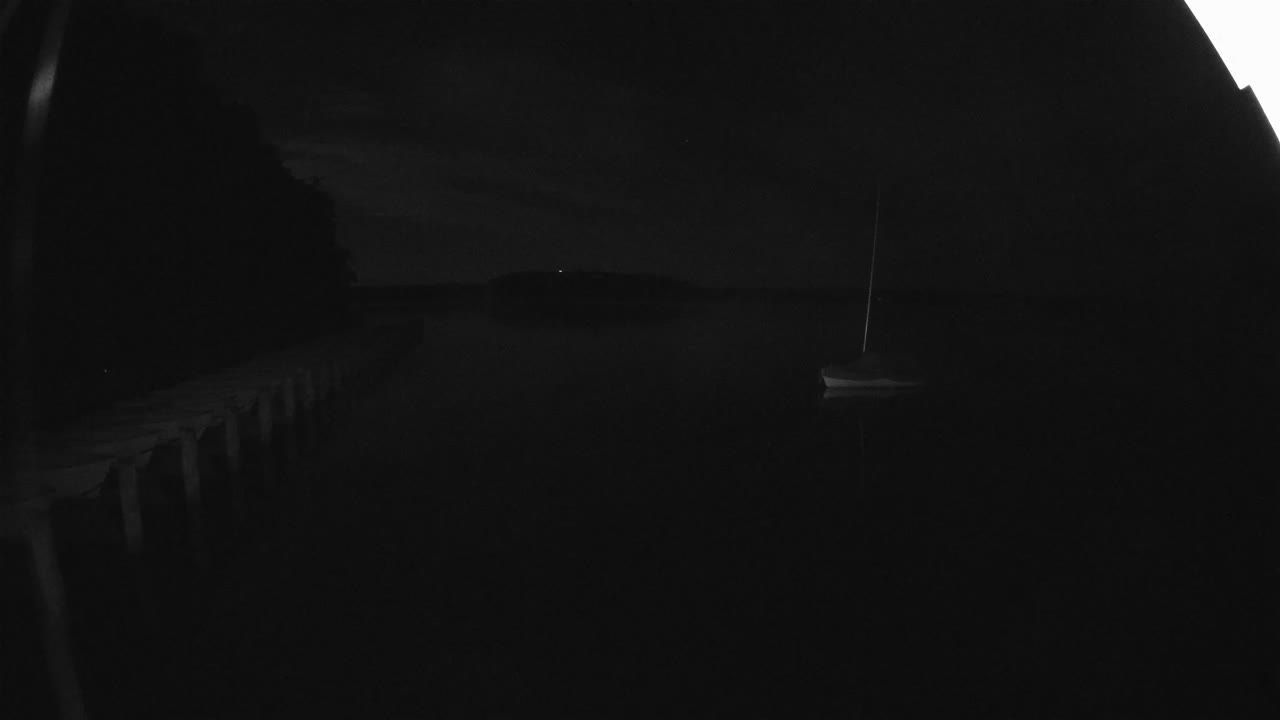 Neuglobsow: Livespotting - Live vom Stechlinsee im Neustrelitzer Kleinseenland