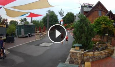 Webcam Gatlinburg, Tennessee: Anakeesta's Firefly Village