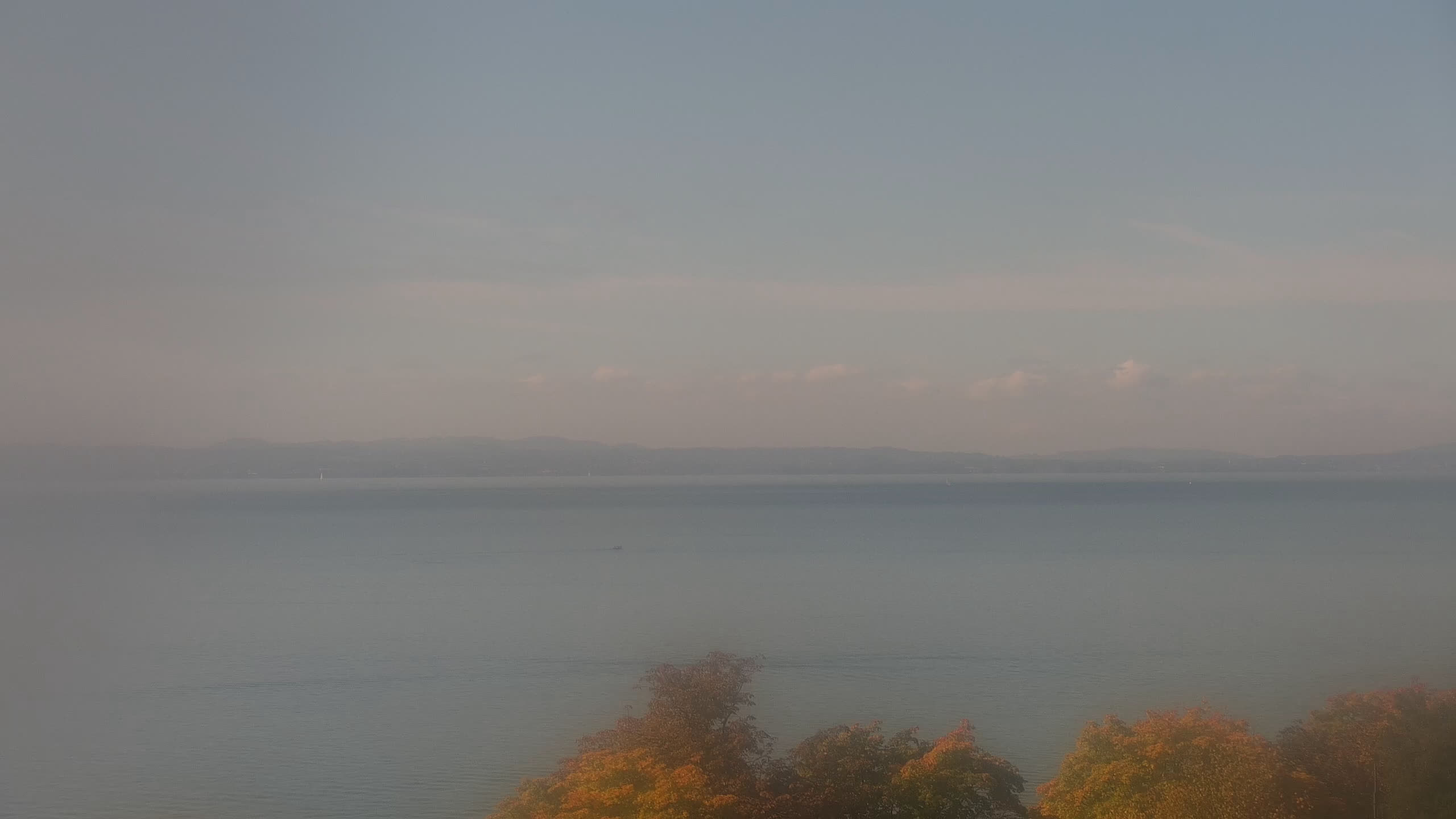 Webcam Lindau (Lake Constance): Panorama Lindau and Lake Constance