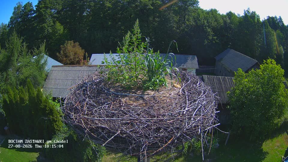 Zastawki: Storks, Chodel