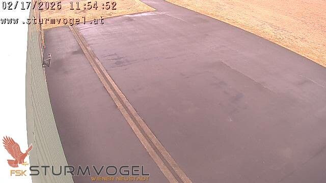Gemeinde Wiener Neustadt: FSK-Sturmvogel LOXN