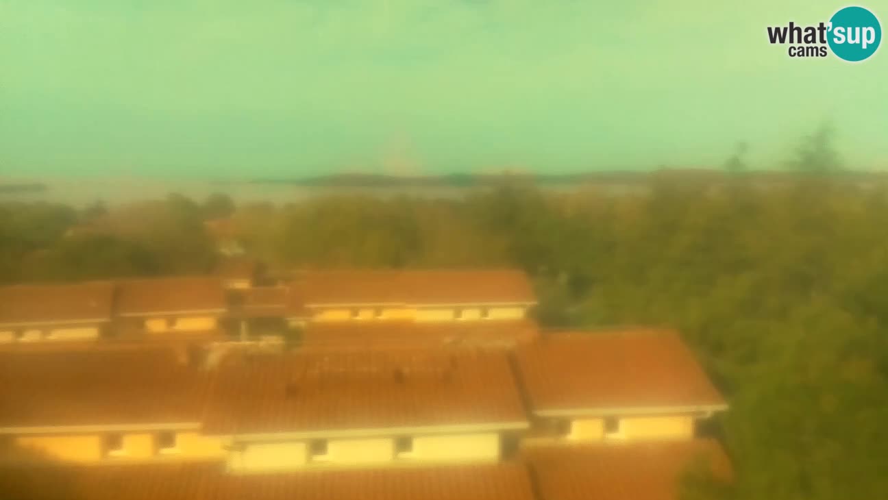 Webcam Fažana: BiVillage