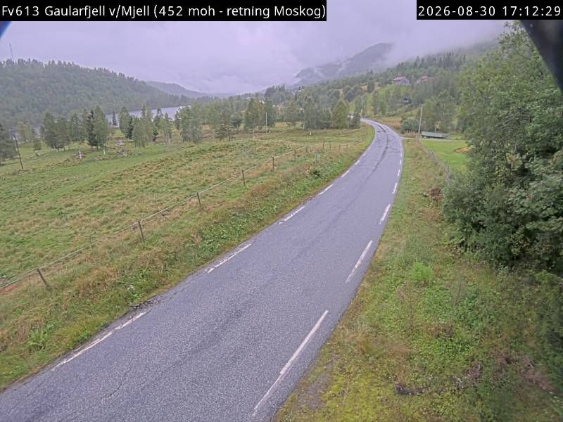 Hovstolen: F613 Gaularfjell v/Mjell (Eldalsosen)
