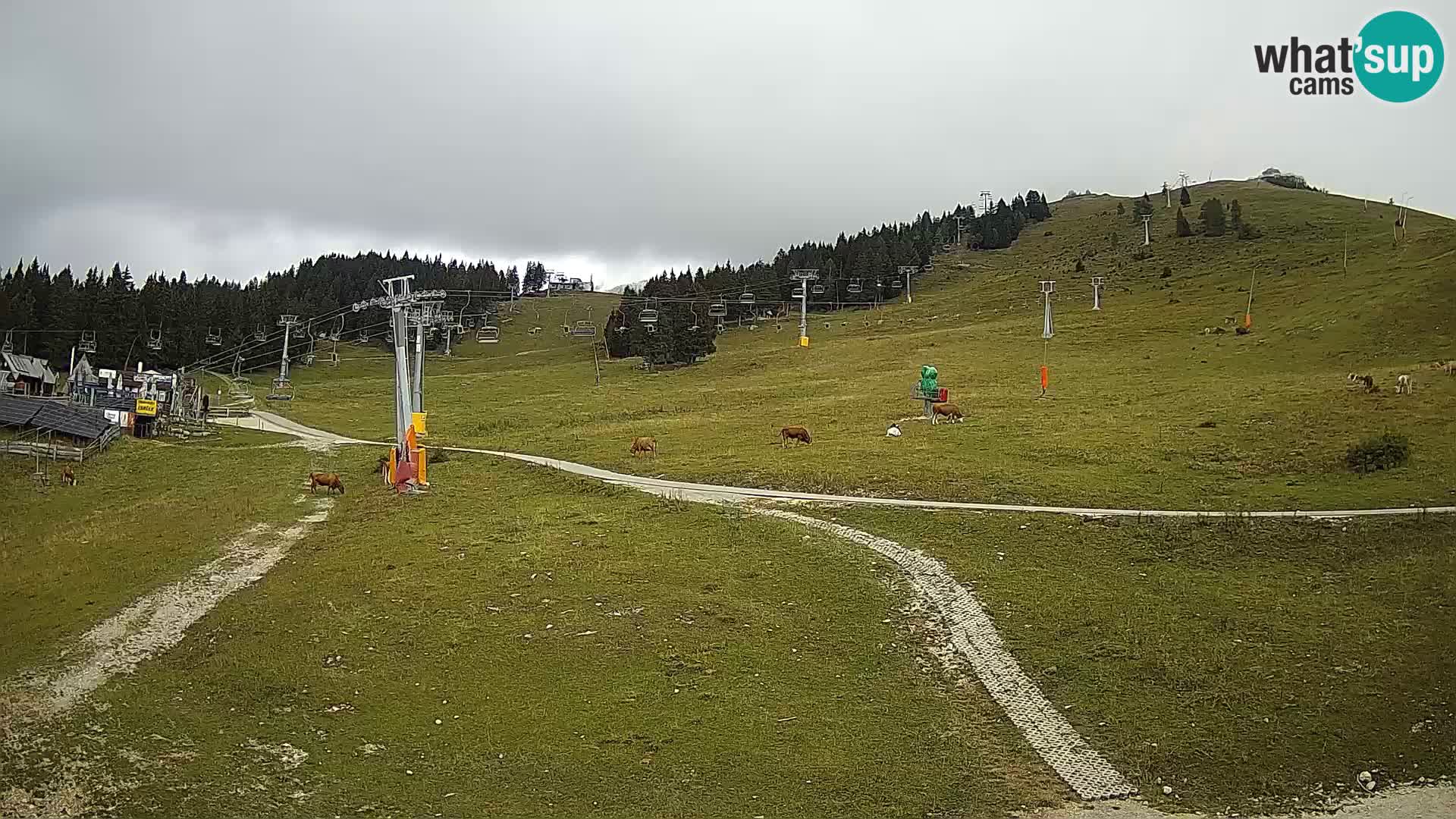 Webcam Krvavec: View from Mount Krvavec