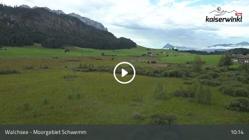 Webcam Walchsee: Moorgebiet Schwemm