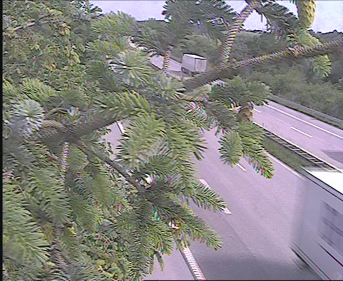 Webcam Bårse: E47/E55 Bårse N