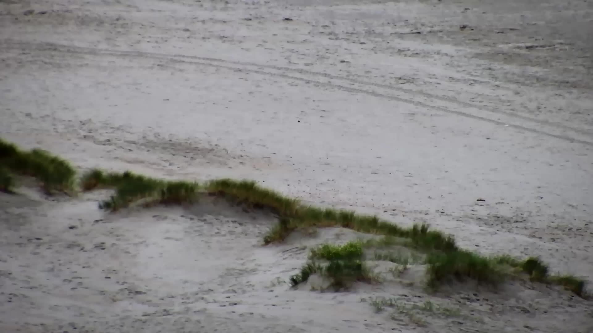Webcam Nieuwpoort: Livestream Beach