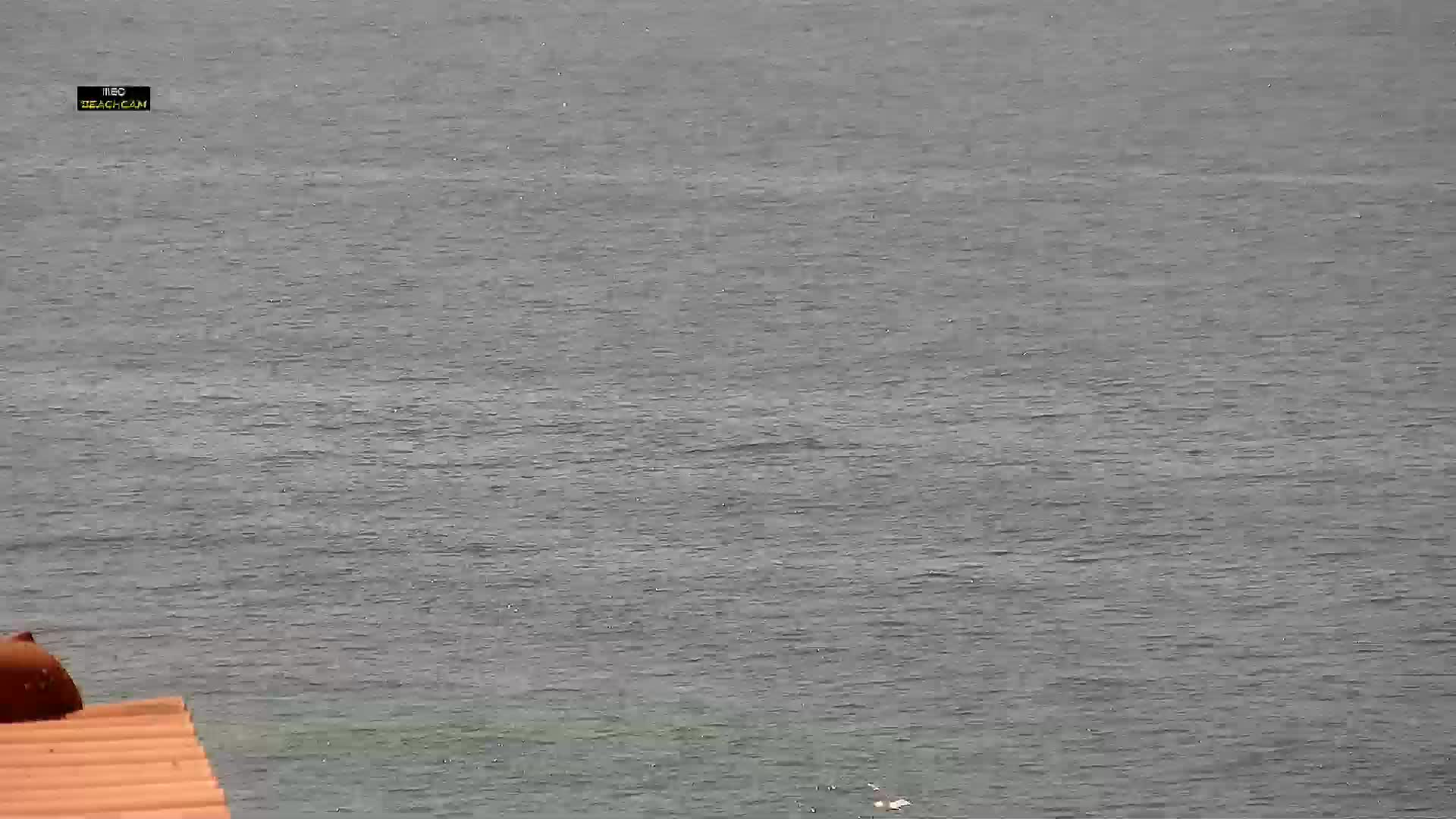 Webcam Ericeira: HD-Beachcam Praias da Ericeira
