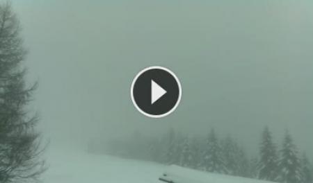 Webcam Folgaria: Ski Area Folgaria - Stella d'Italia
