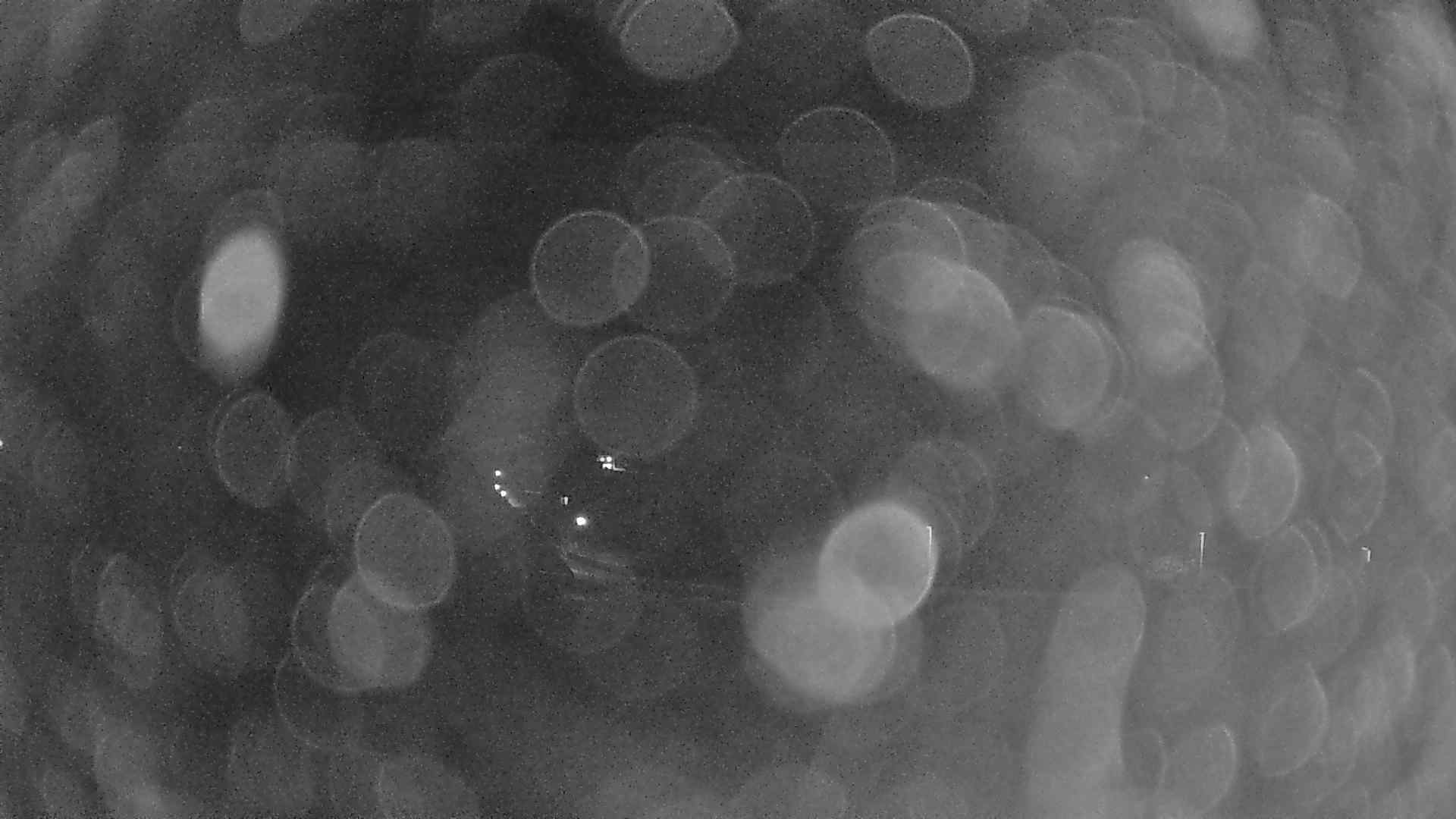 Webcam Trub: View over Trub