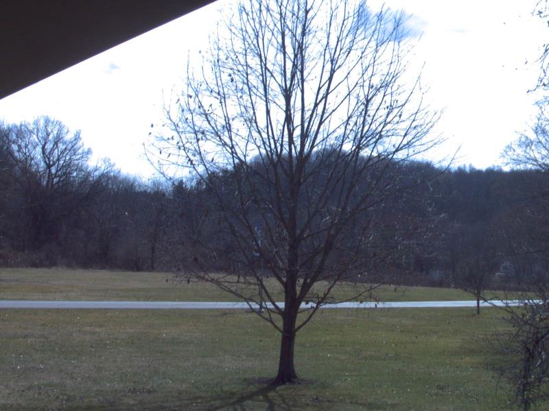 Webcam Lisbon, Ohio: Columbiana County Career & Technical