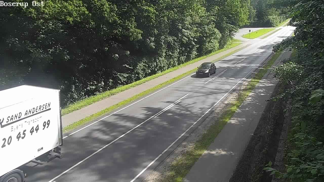 Boserup: Rute - skov