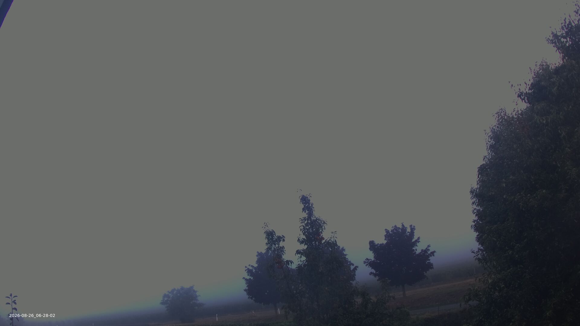 Webcam Essenheim: View over the Vineyards