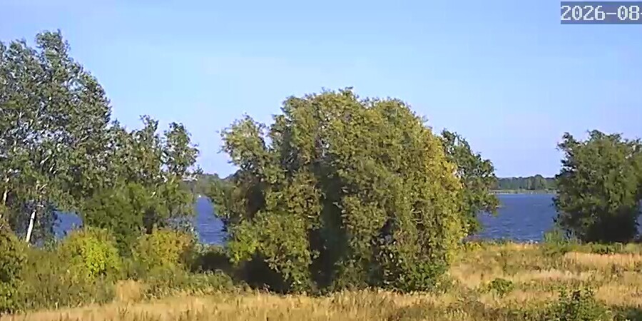 Webcam Werder (Havel): Zernsee