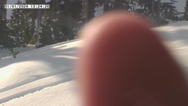 Webcam Enumclaw, Washington: Crystal Mountain Inc