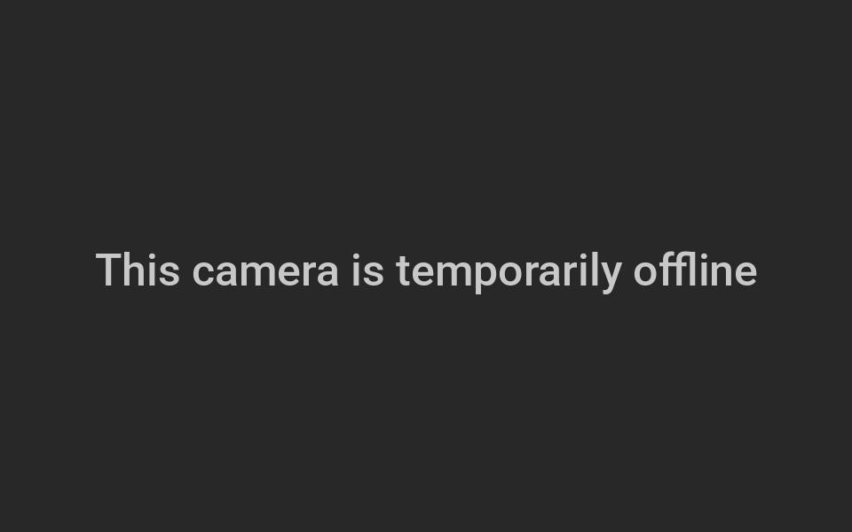 Windsor - Webcam Galore