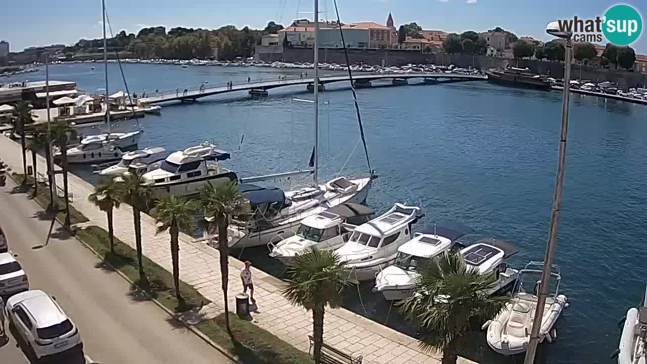 Webcam Zadar: Marina