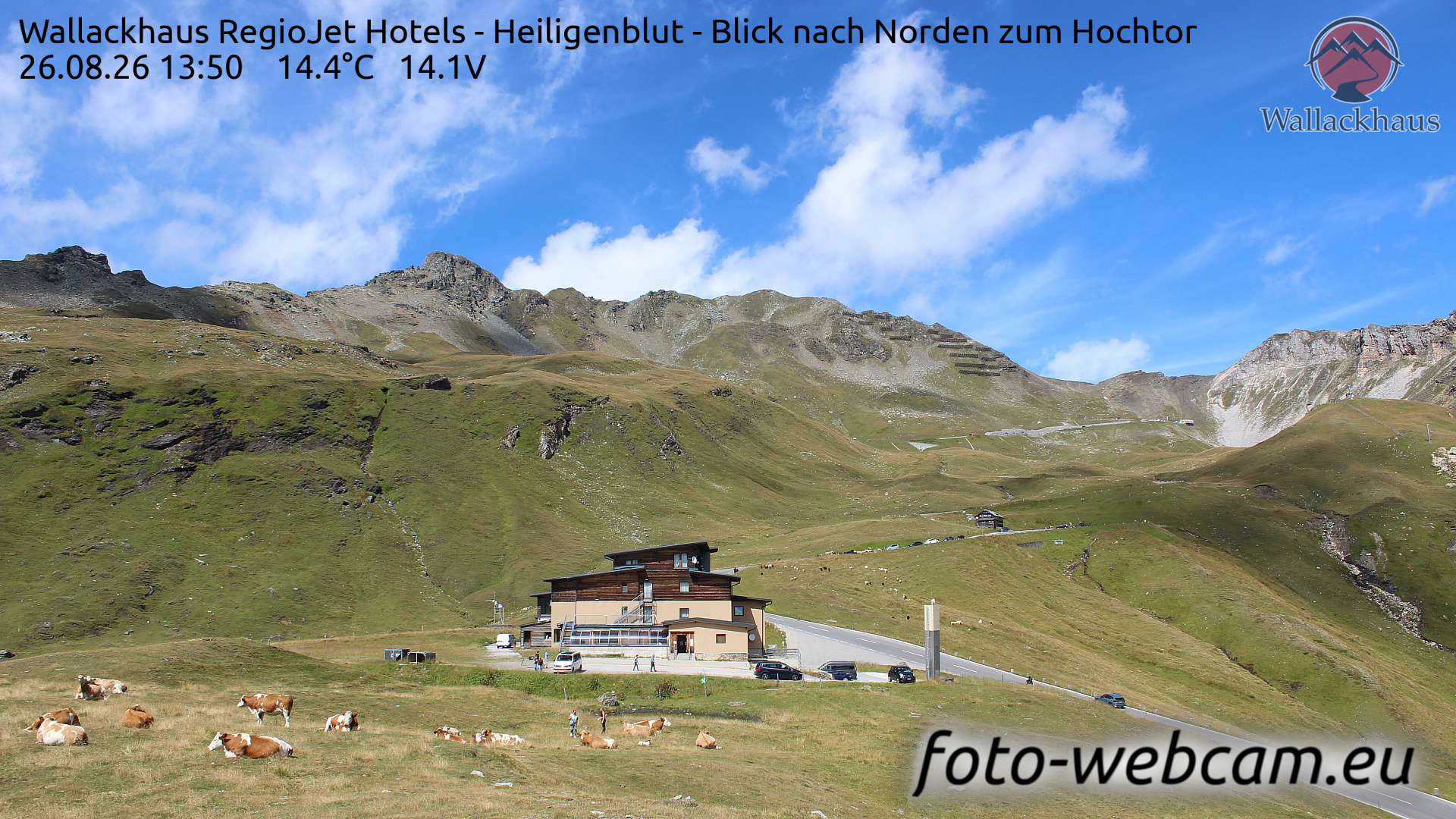 Webcam Heiligenblut: HD Panorama Wallackhaus Nord