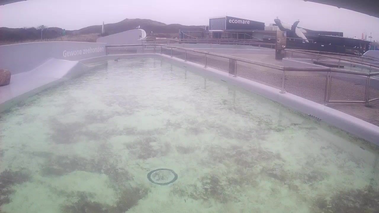Texel › South-West: Ecomare