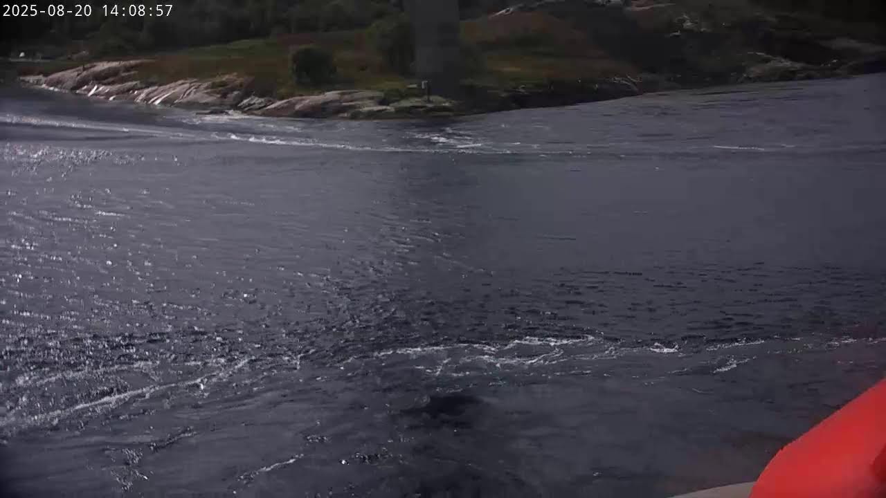 Webcam Saltstraumen: Livestream Tidal Current Saltstraumen