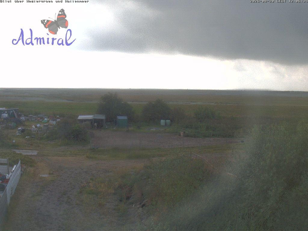 Webcam Spiekeroog: Wadden Sea
