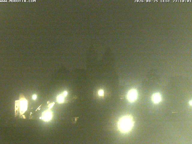 Webcam Breisach am Rhein: Breisacher Stephansmünster