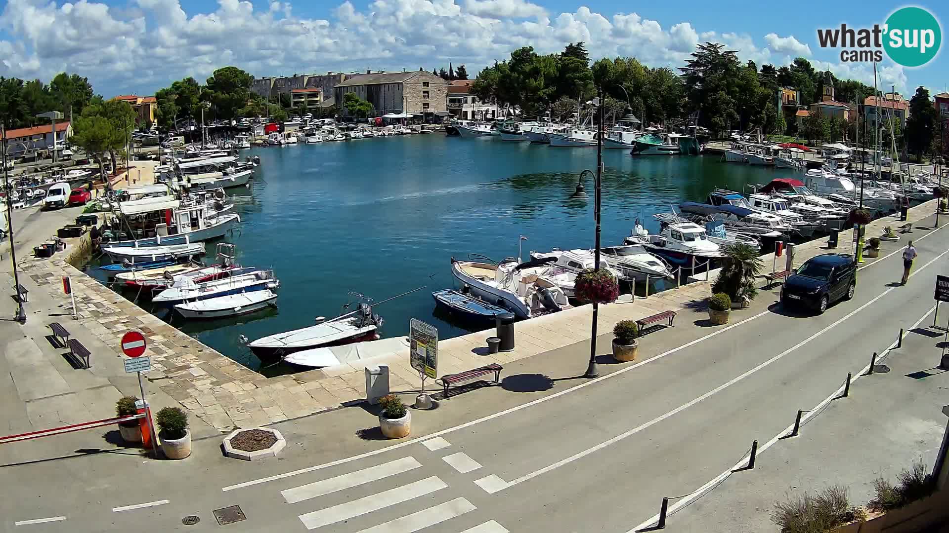 Novigrad - Webcam Galore