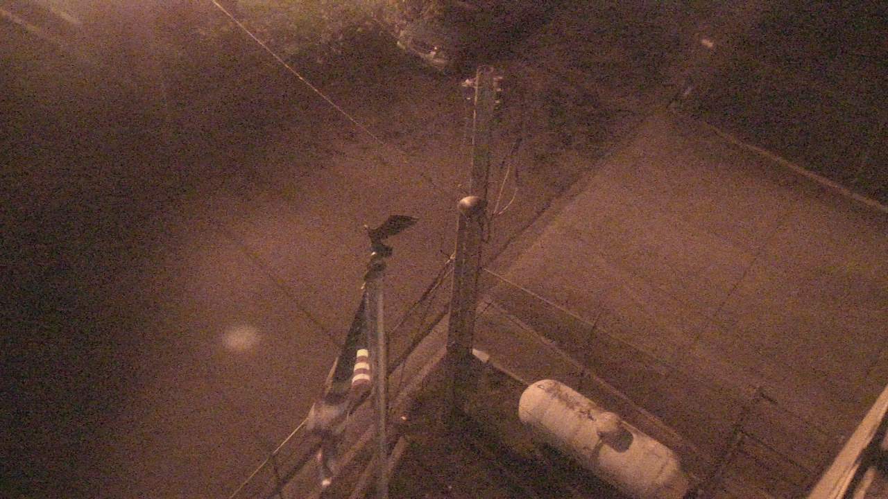 Webcam Carthage, Tennessee: Smith County Chamber of Commerce