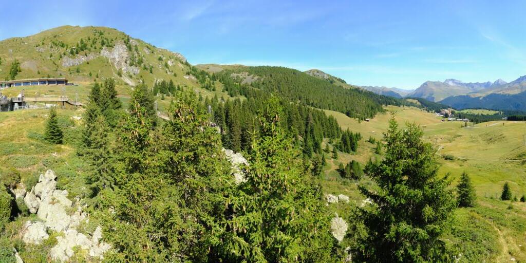 Webcam Arosa: roundshot 360° Panorama Bärenland