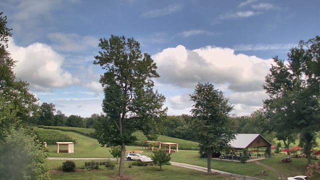 Webcam Davidsonville, Maryland: The Vineyards at Dodon