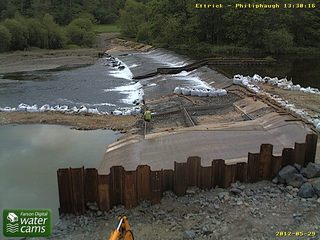 Webcam Philliphaugh: River Ettrick at Philliphaugh