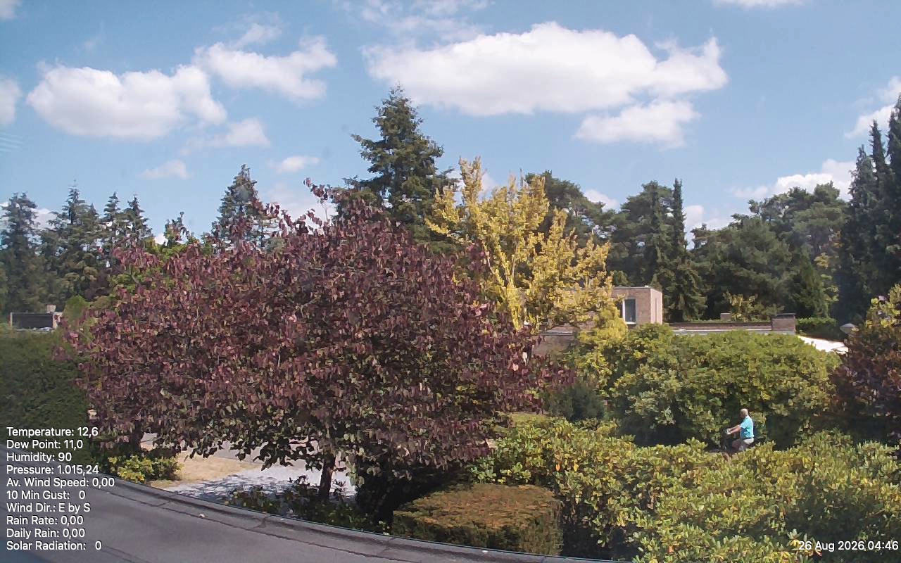 Webcam Son en Breugel: Weathercam