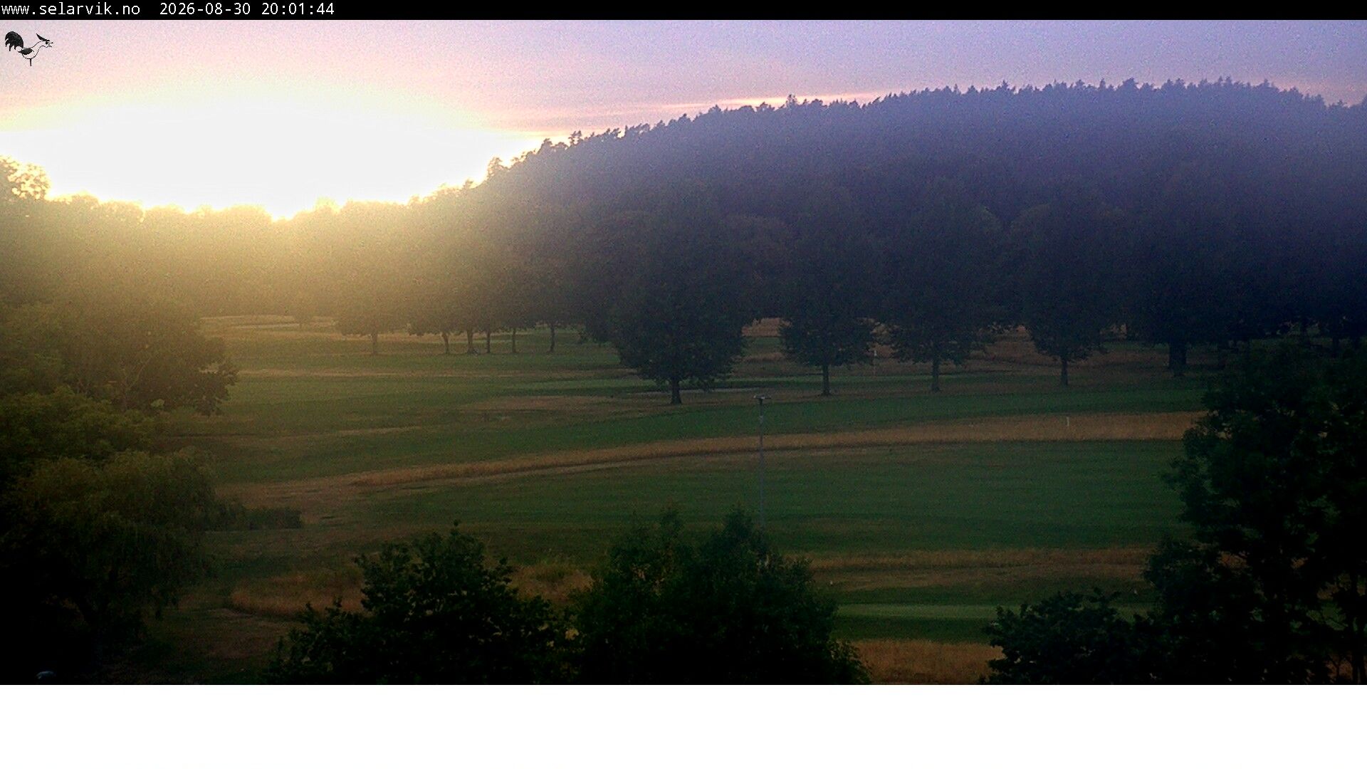 Love nedre: Larvik Golfbane AS
